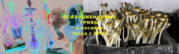 MDMA Михайловка