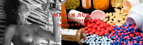 PSILOCYBIN Надым