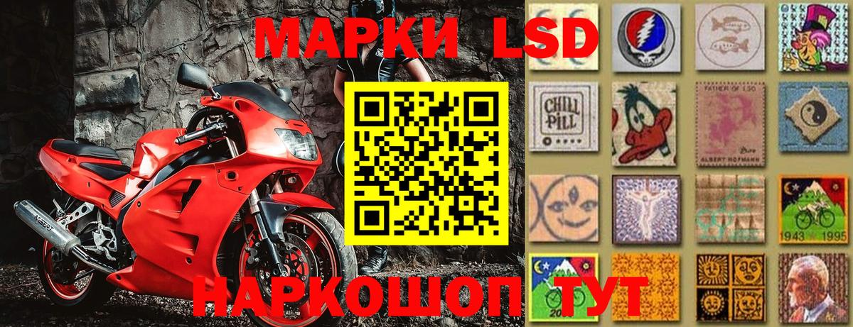 Галлюциногенные грибы Рассказово