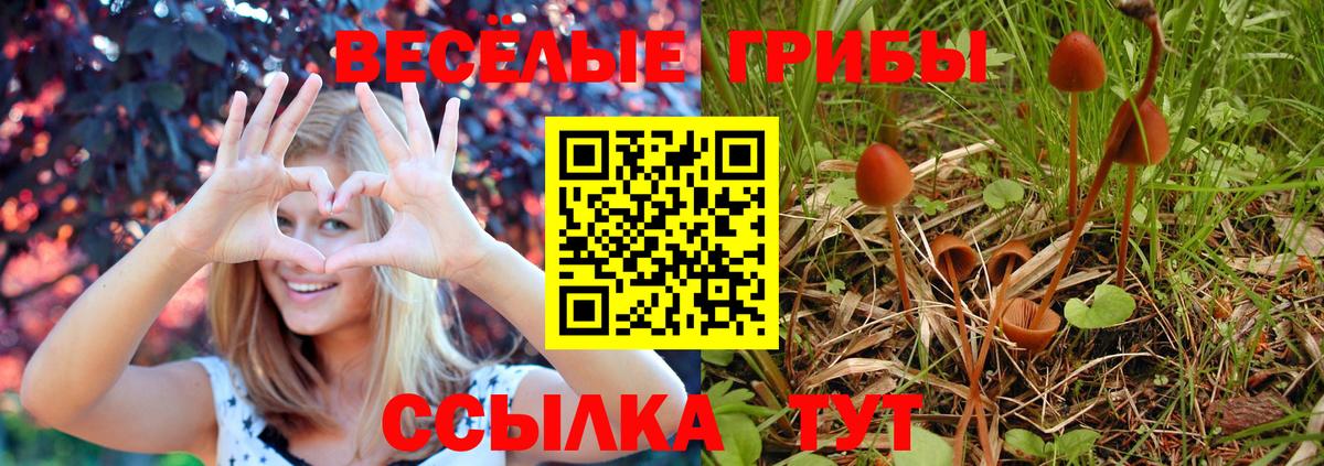 Галлюциногенные грибы GOLDEN TEACHER  хочу   Рассказово  Вход с VPN 