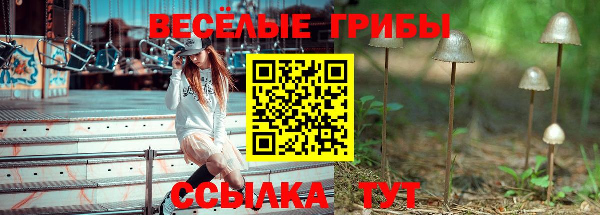 Псилоцибиновые грибы Cubensis  Рассказово  Галлюциногенные грибы мицелий 